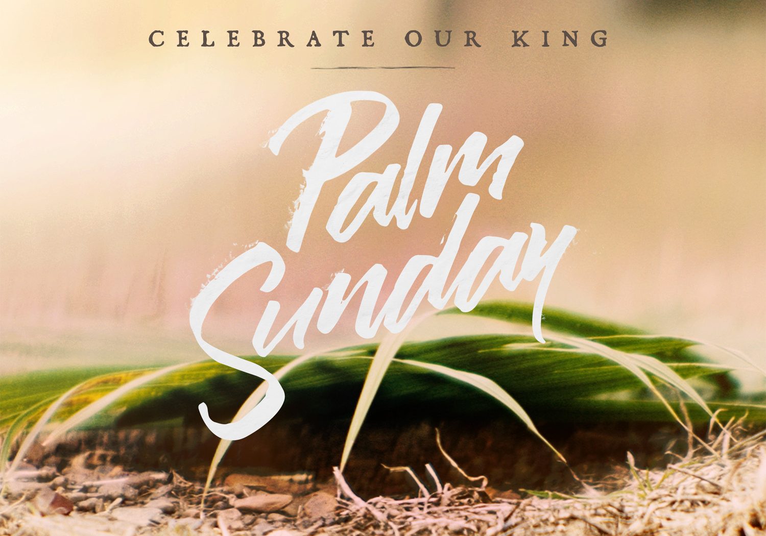 easter_moments_palm_sunday-title-1-Standard 4x3